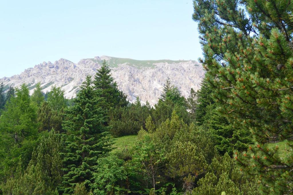 Voegeli Alpenhotel Malbun Kültér fotó